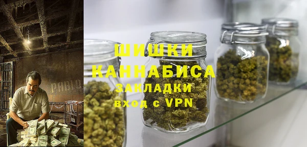 гидропоника Алзамай