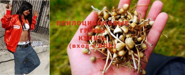 гидропоника Алзамай
