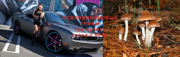 МДПВ Алексин